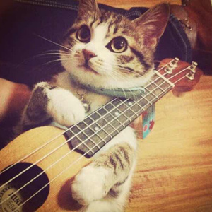 免费国产作爱视频网站
