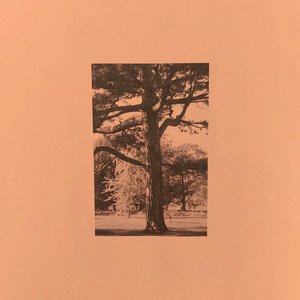 免费国产作爱视频网站
